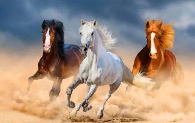 结驷连骑打一生肖、谁来落实解答？