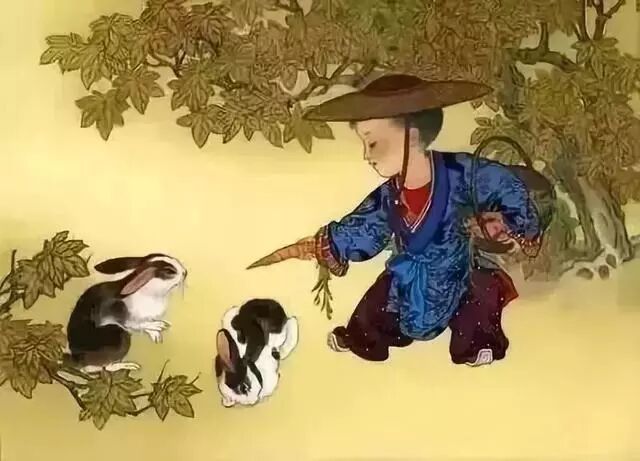 斩草除根打一生肖，揭秘背后的文化与智慧