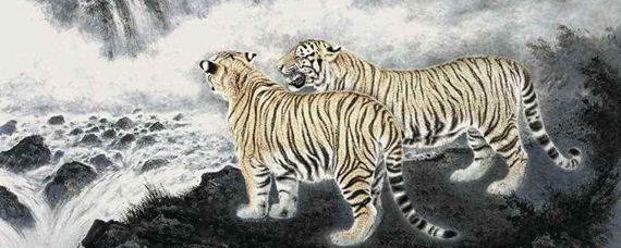 战无不胜打一生肖、正确解释与落实