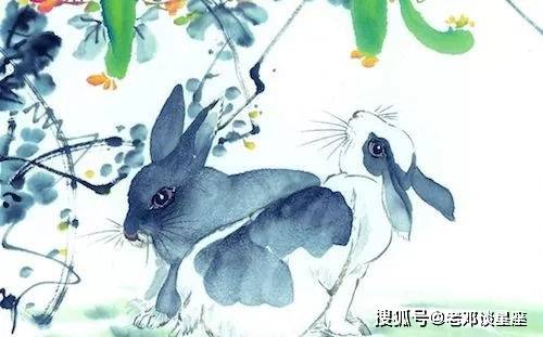 欲钱看书香门第一一生肖，正确解释与落实