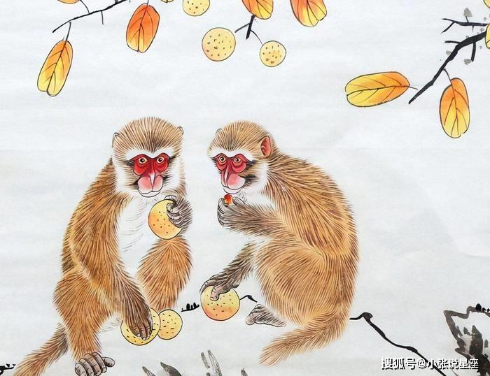 四海为家打一生肖、积极解释落实