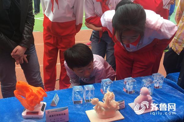 五光十色背后的生肖奥秘，正确解读与文化落实