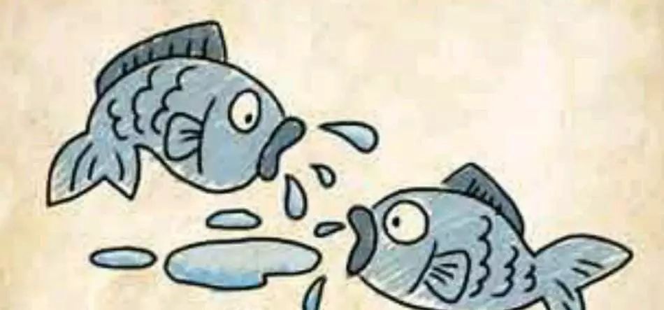 等打一生肖，一场误导解释的落实与深刻反思