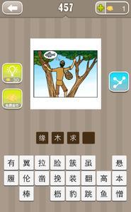 缘木求鱼，生肖背后的智慧与真相的探寻