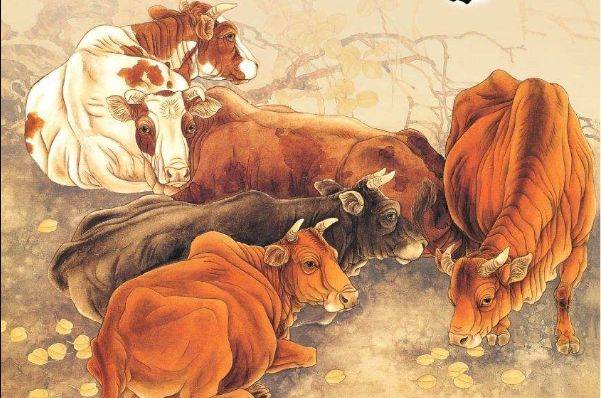 猪狗不如打一生肖、一场误导解释的落实与反思