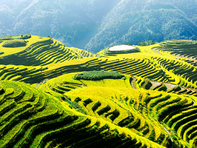 七星伴月，揭秘生肖之谜