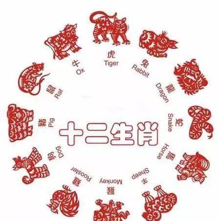 打破沙锅问到底，探寻生肖之谜与真相的落实