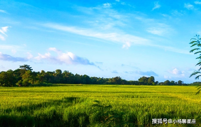 风和日丽打一生肖、选择解释落实