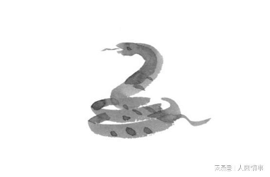 引蛇出洞打一生肖，谜底即将揭晓