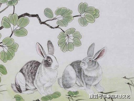 双喜临门与生肖的奇妙联结—积极解释与有效落实的智慧