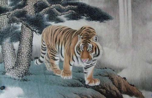 非常凶猛的动物打一生肖、谁来落实解答？