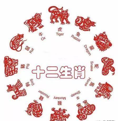 一举成名与生肖的奥秘，一语中的全面解析