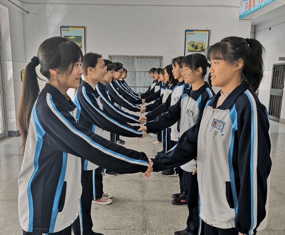 年打一生肖、神秘解释落实