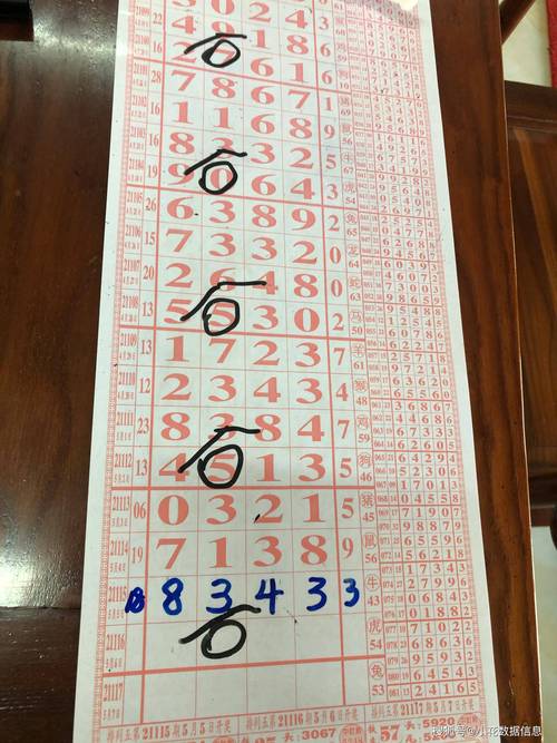 逢二进一打一生肖、一语中的，全面解析