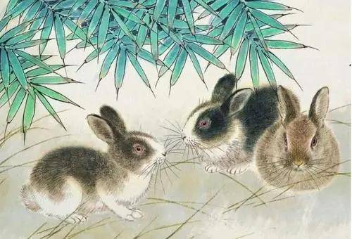 吉祥打一生肖，兔—无限解释落实的象征