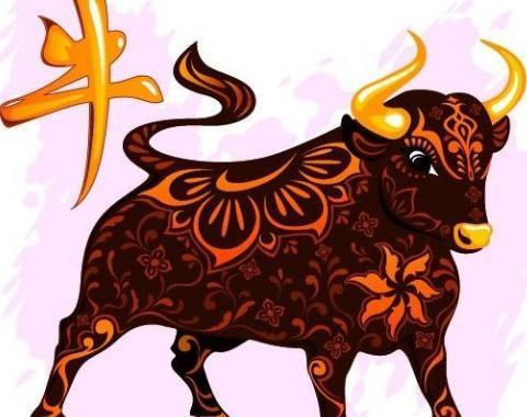 鼠入牛角打一生肖、绝佳解释落实