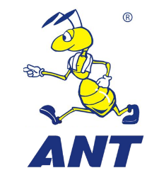 蚂蚁搬家打一生肖，网络解释的落实与文化传承的智慧