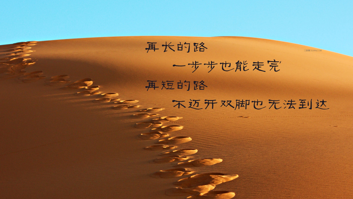 成就解释落实，以前打一生肖为鉴的奋斗之路