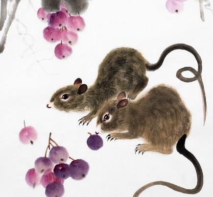 财打一生肖、理想作答落实解释