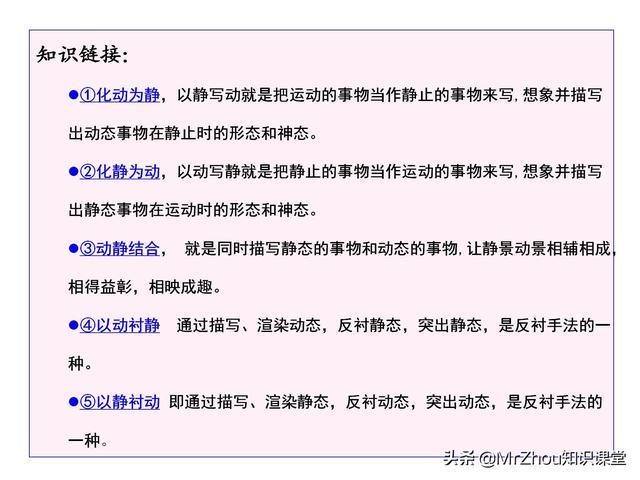 名列前茅，生肖之智与策略的奥秘