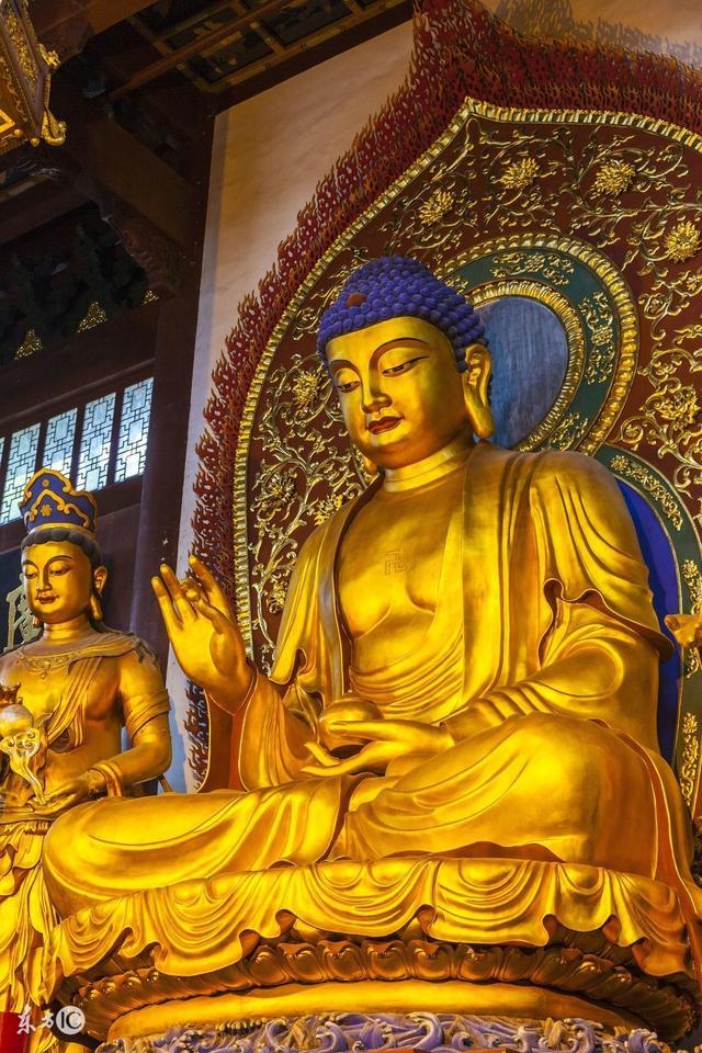 一夜暴富打一生肖、奥秘解释落实