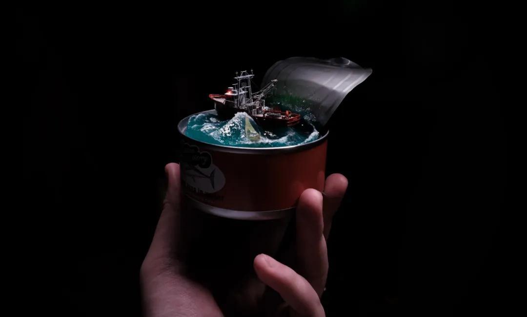 沙丁鱼罐头打一生肖、落实相信的解释