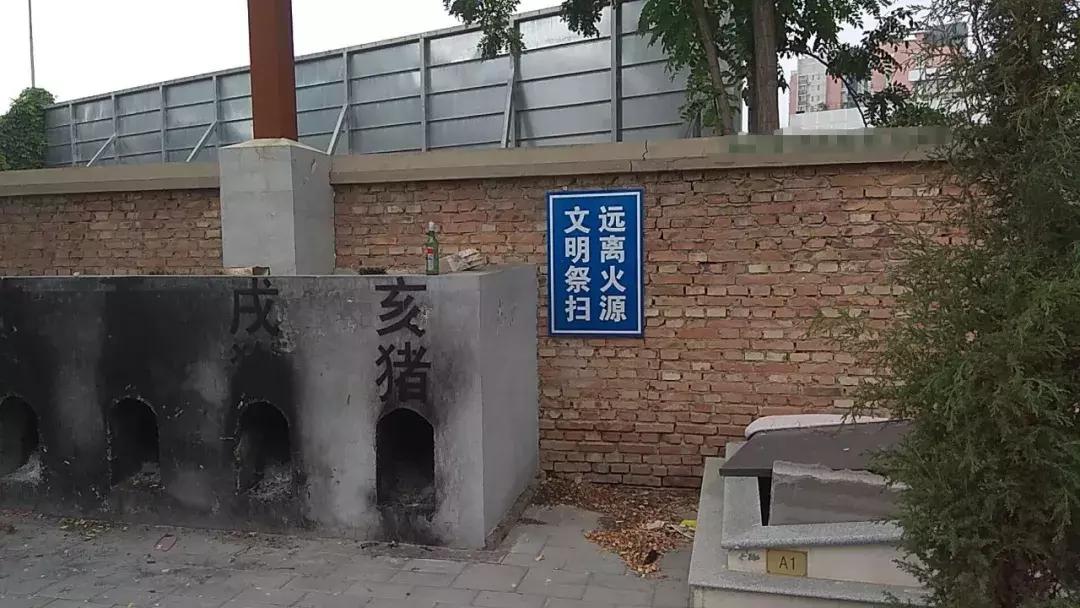 东打一生肖，揭秘与解析