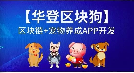 游戏打一生肖，一场智慧与哲理的奇妙之旅