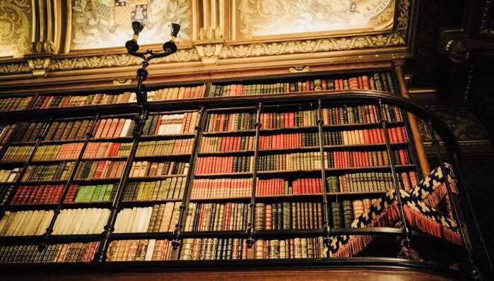 揭秘期打一生肖，经典解释与现代解读的融合