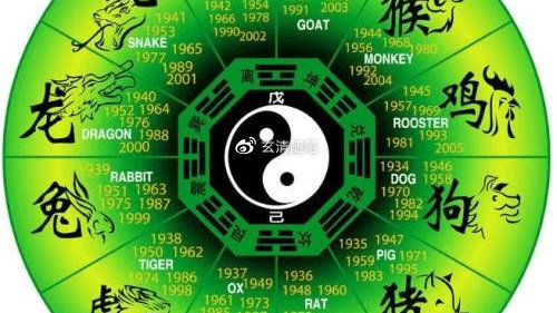 玄打一生肖、通常解释落实