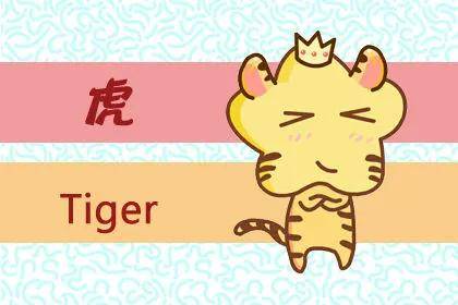 不大不小打一生肖、通常解释落实