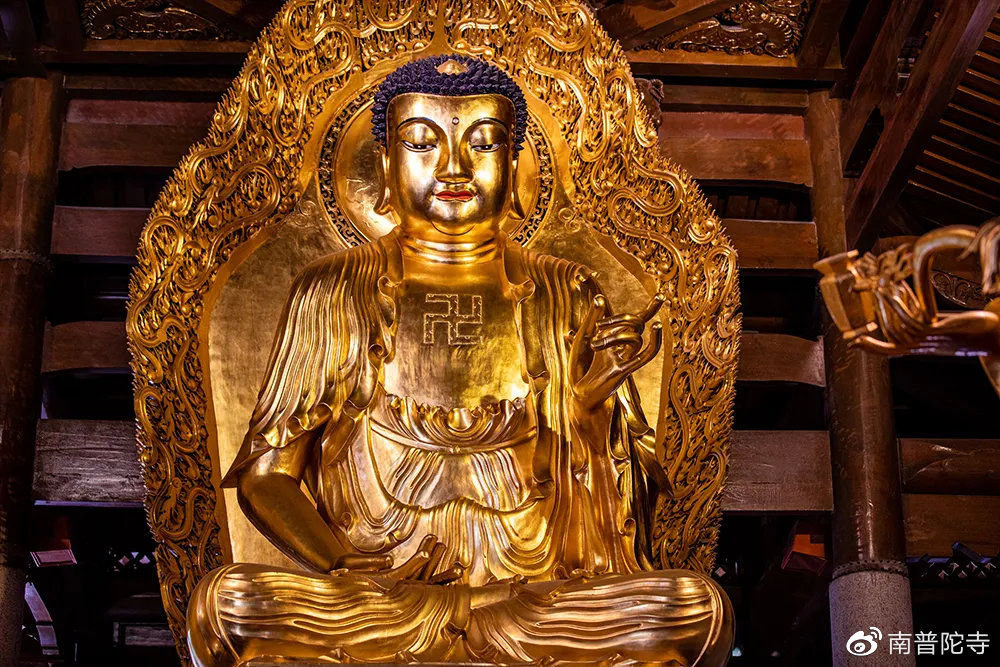 无事不登三宝殿，生肖之谜的真相与解释落实