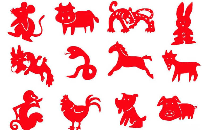 二十之前打一生肖、解释与落实的和谐共舞