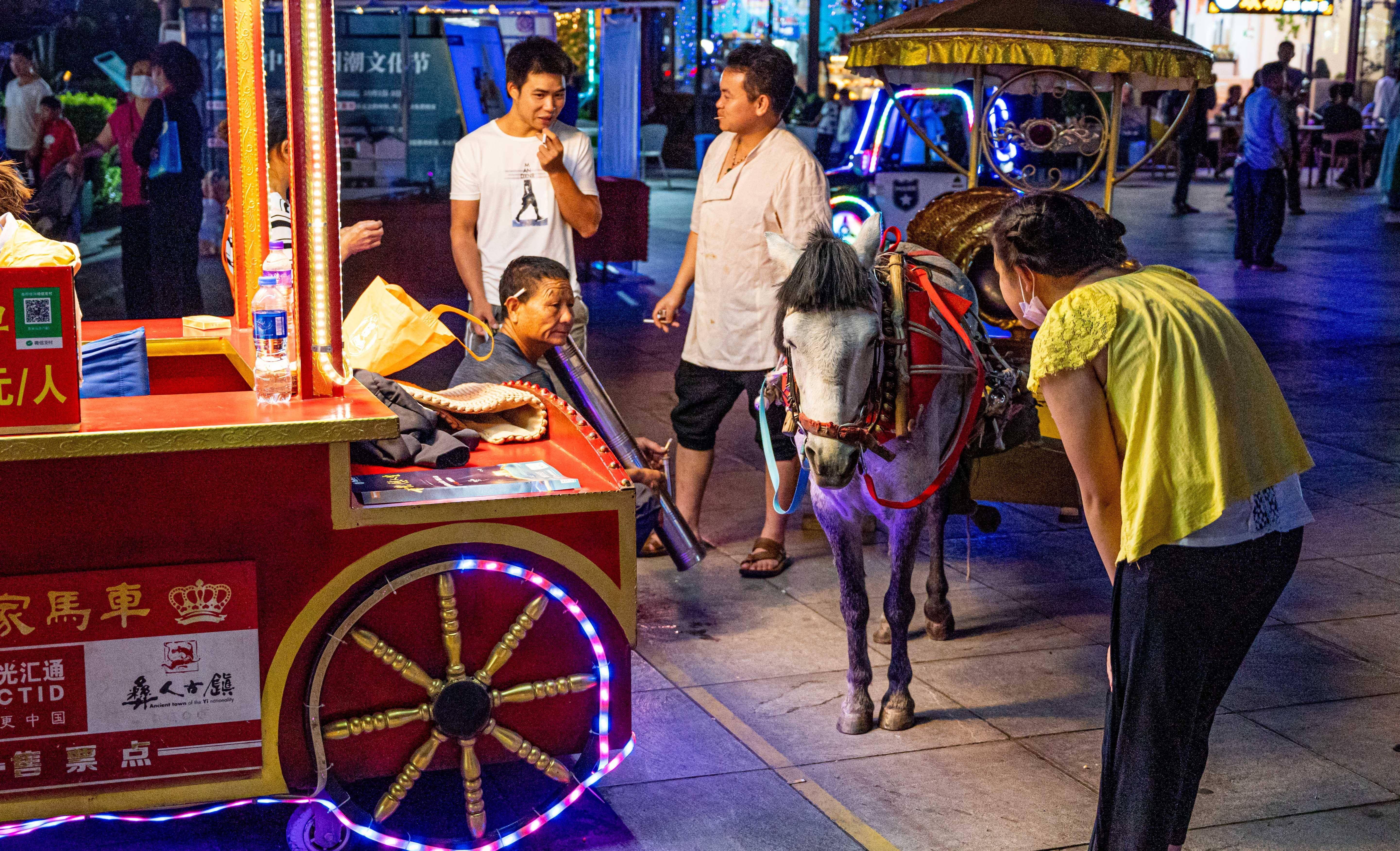 街头卖艺打一生肖、全面解析与落实