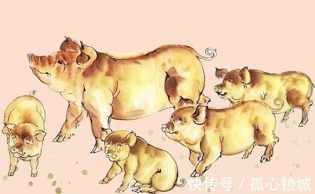 吉时观照下的生肖智慧，从理论到实践的积极转变