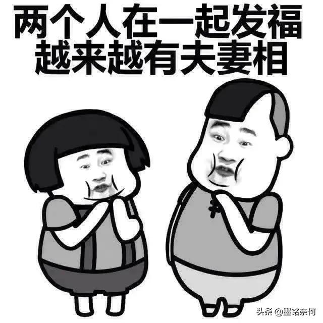 叫连声打一生肖、绝佳作答落实解释