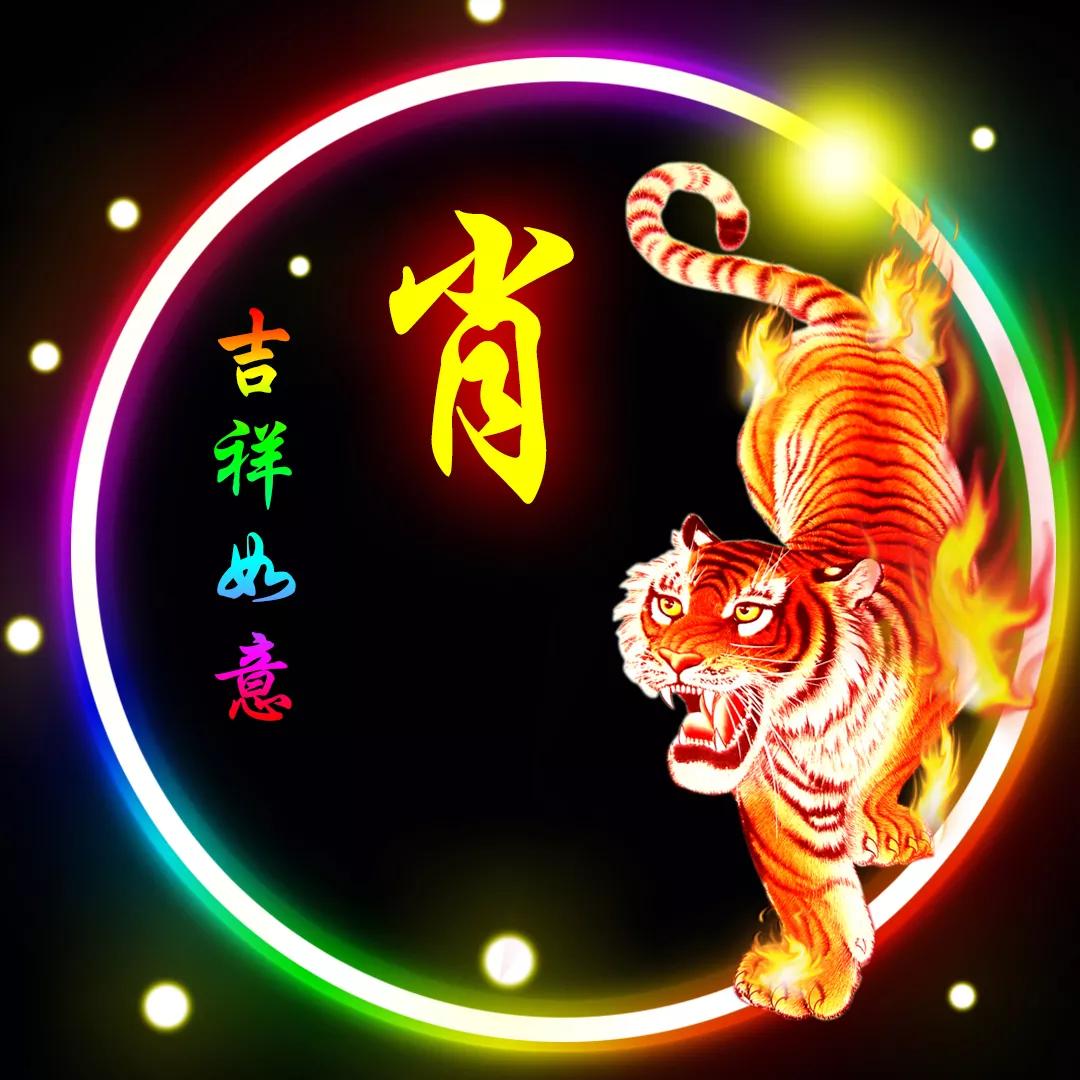 揭秘闻打一肖背后的生肖年真相，从习俗到科学解释的落实