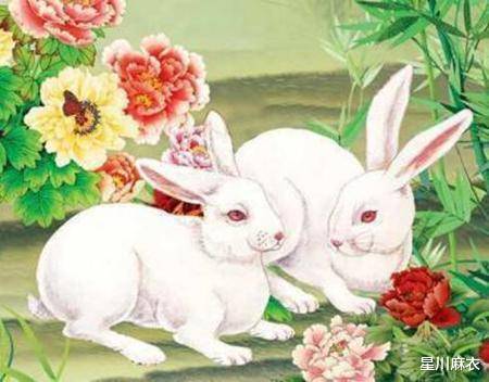 呜冤叫屈，生肖兔的隐忍与抗争