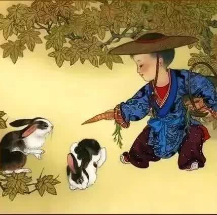 千古流芳与生肖之谜，探寻智慧与美德的传承