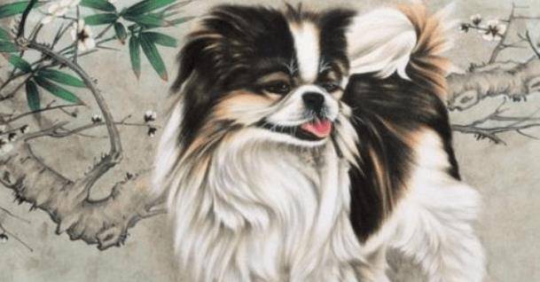 狗胆包天打一生肖、真相解释落实