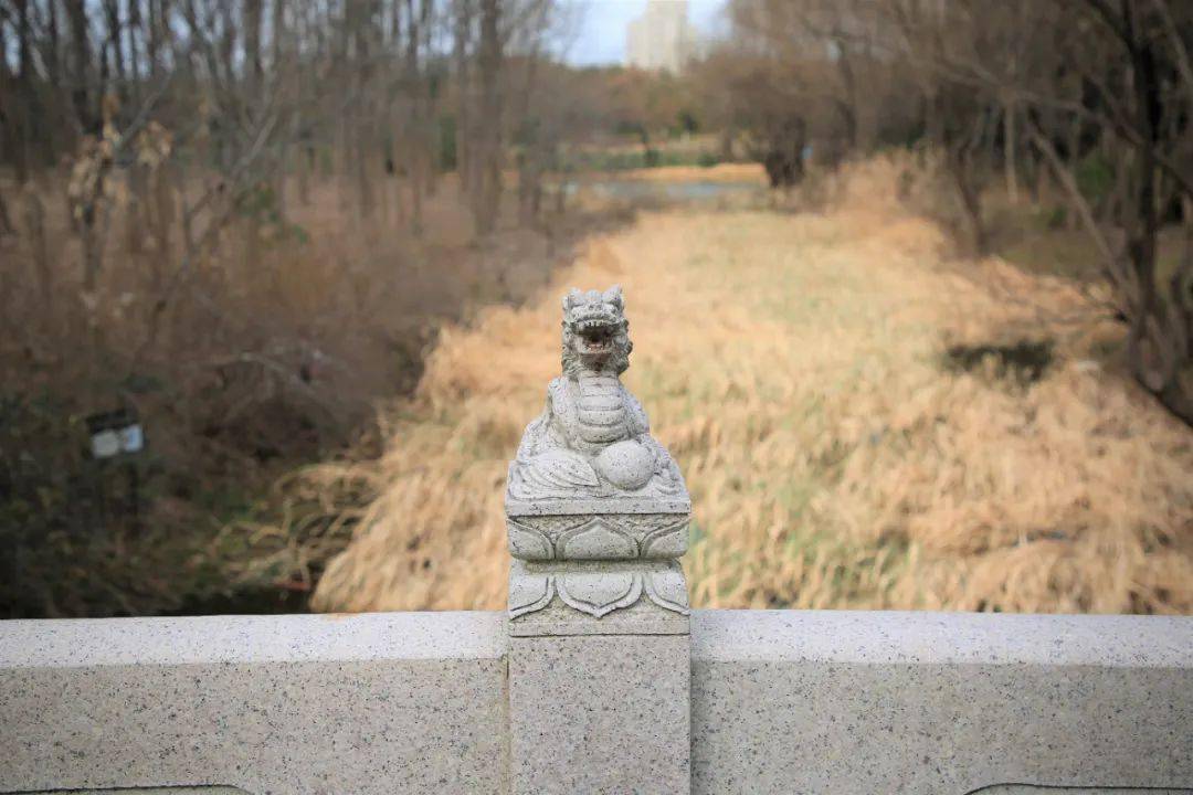 灯草栏杆靠不住打一生肖、真相解释落实