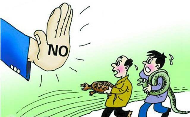 愤怒不平打一生肖,一场误导解释的落实与反思 愤怒不平打一生肖,一场误导解释的落实与反思