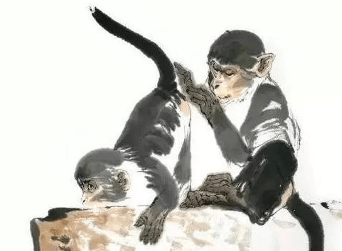 炙手可热打一生肖,精选解析与落实的详细结果 炙手可热打一生肖,精选解析与落实的详细结果