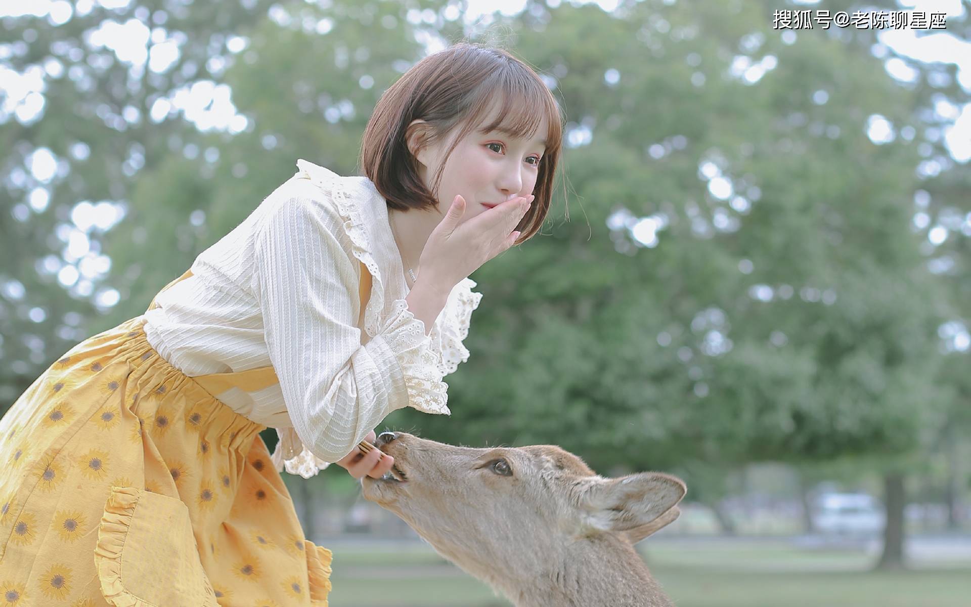 女孩与生肖,一场关于智慧与哲理的奇妙邂逅 女孩与生肖,一场关于智慧与哲理的奇妙邂逅