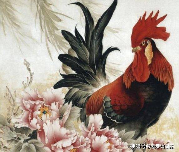 兴味盎然打一生肖、非凡解释落实