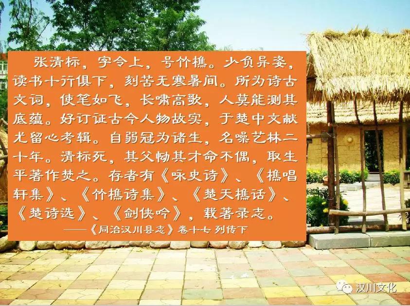 付之一炬，生肖之谜的深度解析与正确落实