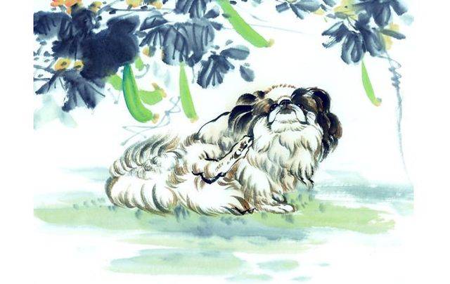 丝毫不差,一缕细线与生肖鼠的智慧故事与寓意 丝毫不差,一缕细线与生肖鼠的智慧故事与寓意