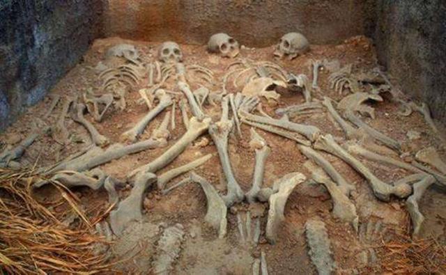 必中嬴政打一生肖，揭秘秦始皇与生肖的神秘联系