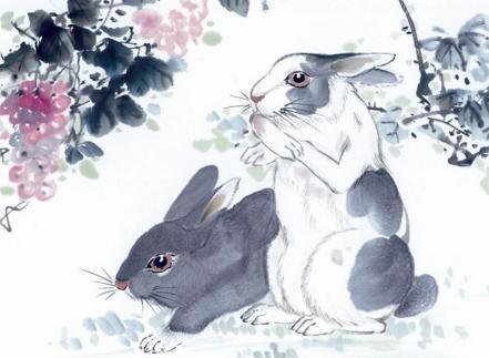 雨后春笋打一生肖、通常解释落实