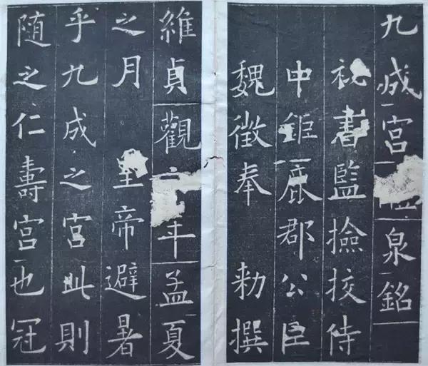 矫如群帝骖龙翔打一生肖、喜欢作答落实解释